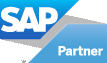 SAP partner